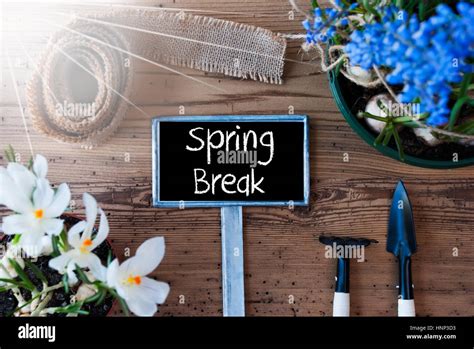 Image result for Spring Break Text