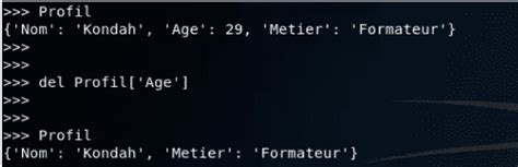 Afbeeldingsresultaten voor Dictionnaire Python