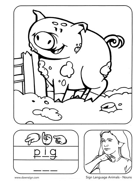 Afbeeldingsresultaten voor ASL Pig