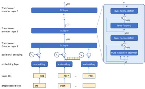 Image result for Encoder Only Transformer