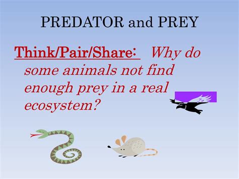 Image result for Prey in Ecosystem