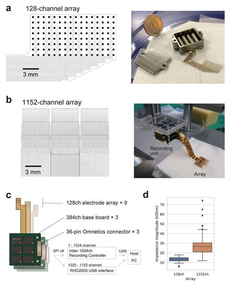 Induction Electrode Array に対する画像結果