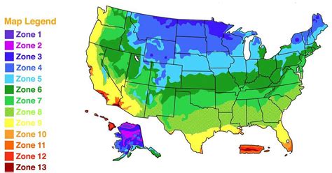 Image result for Planting Guide by Season