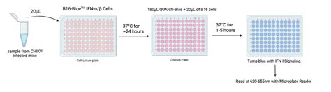 Image result for Cell Surface Biorender