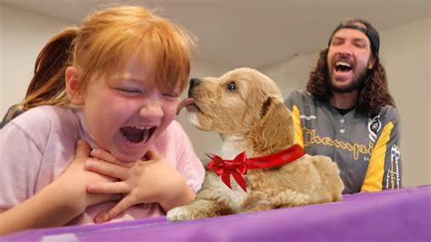 Image result for Adley Puppy