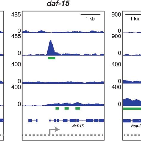 Image result for ChIP-seq Results Example