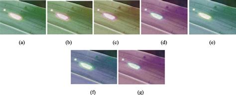 Image result for Convolution Matrix Hue Shift