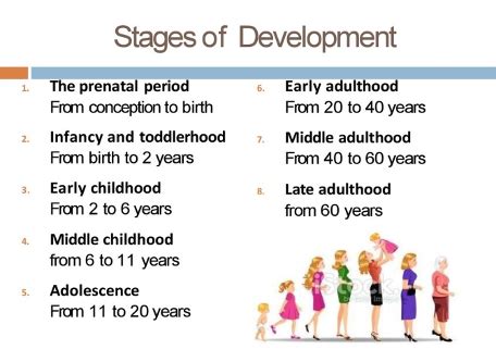 Afbeeldingsresultaten voor Middle Adulthood Biological Development