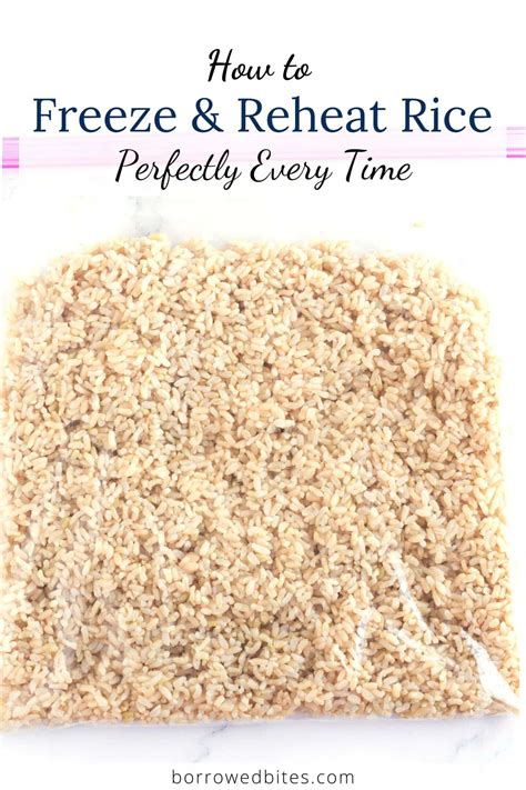 How to Freeze Cooked Rice に対する画像結果