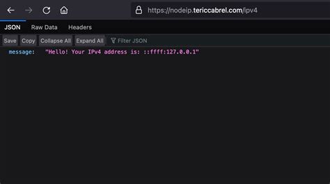 App Using in CSS Consis IP Address に対する画像結果