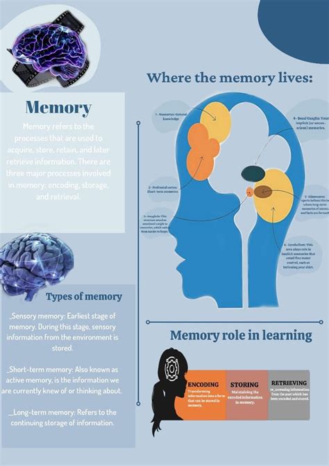 Image result for Long-Term Memory Student Project Ideas