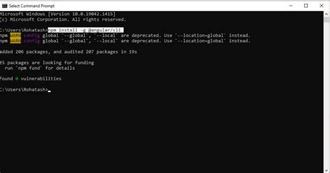Toradh íomhá ar Angular Install NPM