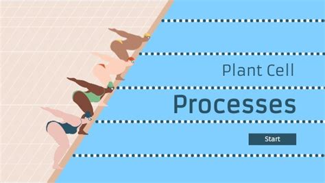 Résultat d’images pour Different Cell Processes