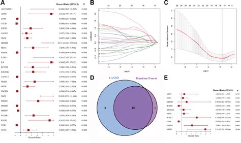 Carte Variable Selection Tree に対する画像結果