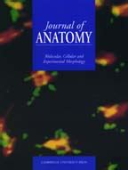 Image result for Python Anatomy Journal
