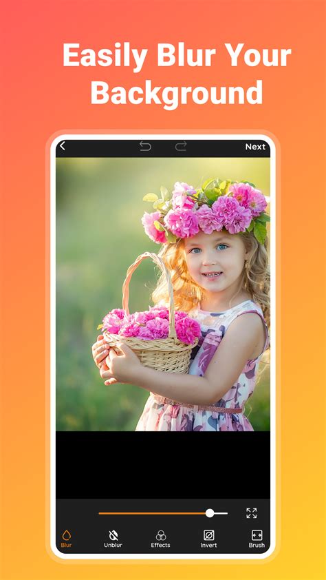 Blur Image for Photo Shoot Background に対する画像結果