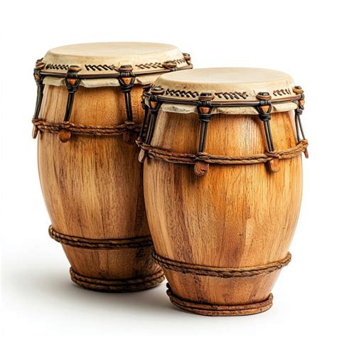 Your Photo On a Conga に対する画像結果