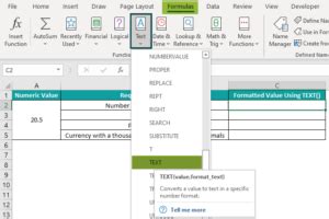 Image result for Text Function Excel Example