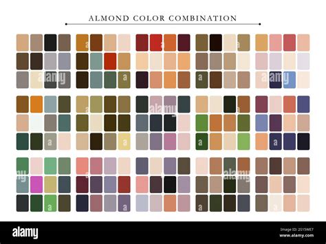 Toradh íomhá ar Style Guide Color Palette