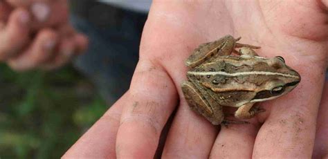 Image result for Databot Command Interface