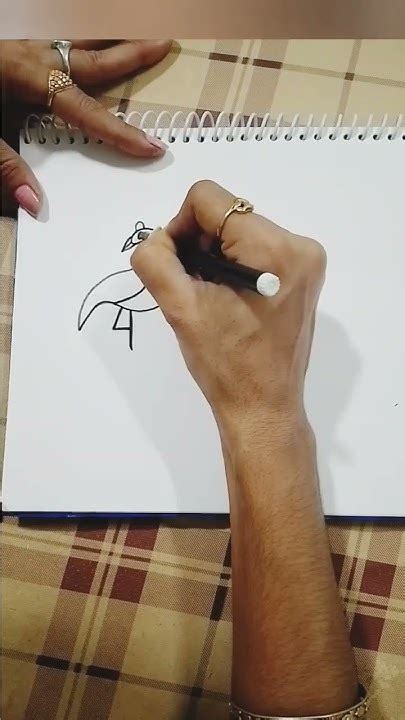 Easy Simple Line Drawings に対する画像結果