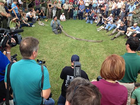 Image result for Python Patrol in Florida