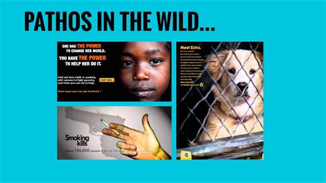 Image result for Pathos