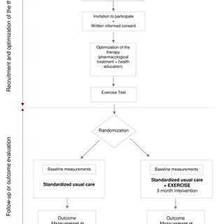 Image result for Algorithm of the Study