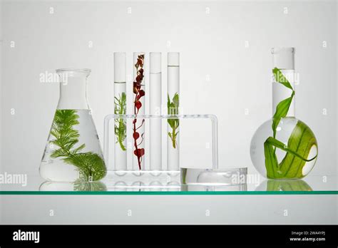 Toradh íomhá ar Types of Lab Glassware