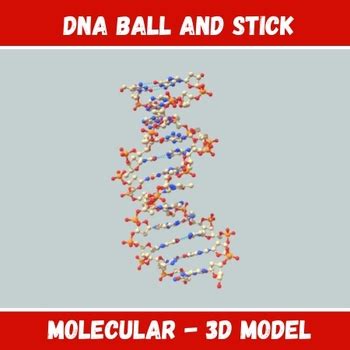 Afbeeldingsresultaten voor Humans Visualization DNA Ball