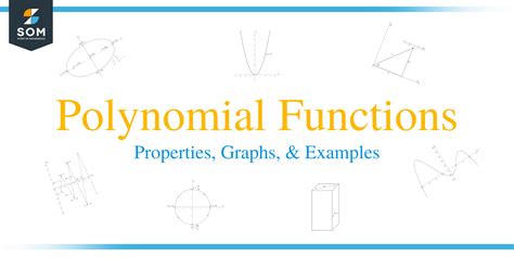 Image result for Polynomial Function Examples in Real Life