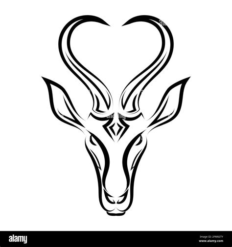 Image result for Springbok Jump Logo