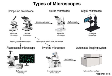Image result for 7 Different Types of Microscope