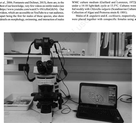 Toradh íomhá ar Connect Microscope to DSLR
