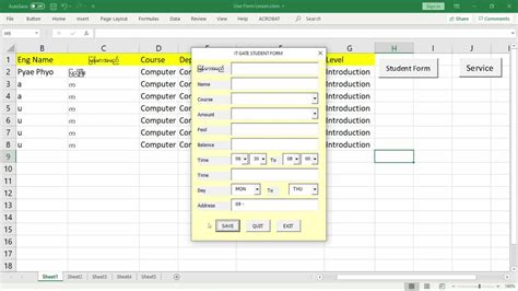 Image result for Basic VBA Data Entry Form