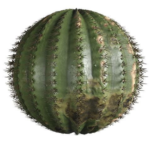 Afbeeldingsresultaten voor Cactus Texture Blender