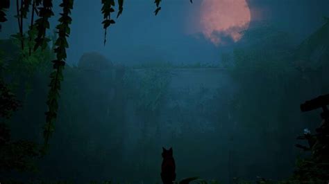 Image result for MA There's a Stray Cat Outside Roblox