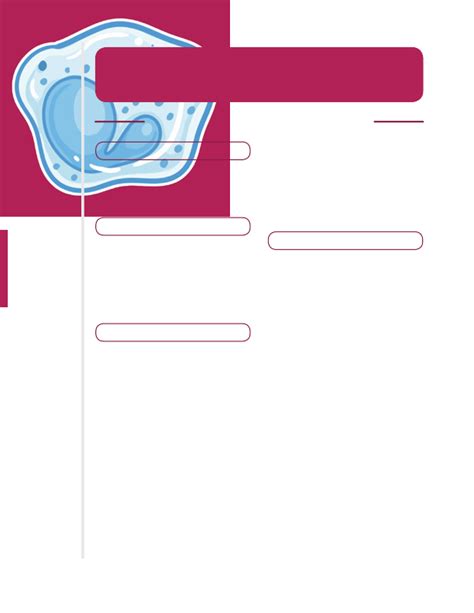 Elevated Complement Levels に対する画像結果
