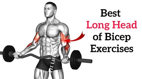 Best Bicep and Tricep Exercise Method に対する画像結果