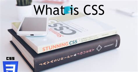 CSS Programming Is What に対する画像結果