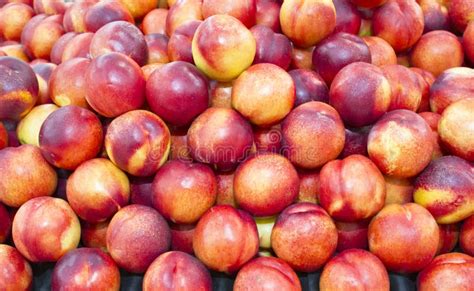 Image result for Nectarine Geel