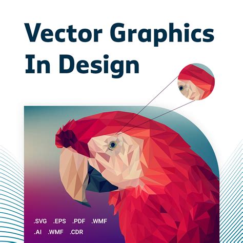 Image result for Vector Graphics in Web Design