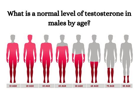 Image result for Normal Testosterone Levels by Age Chart