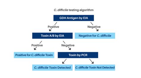 Image result for C. Diff Testing