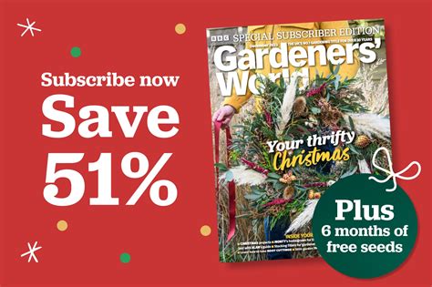 Toradh íomhá ar Daphne Concussion Time