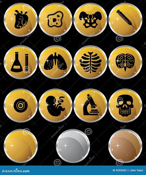 Image result for Biological Development Icon