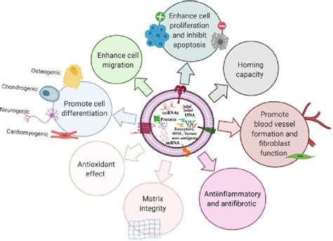 Image result for Biologic Function