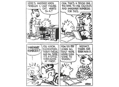 Image result for Addition Algorithms Comics