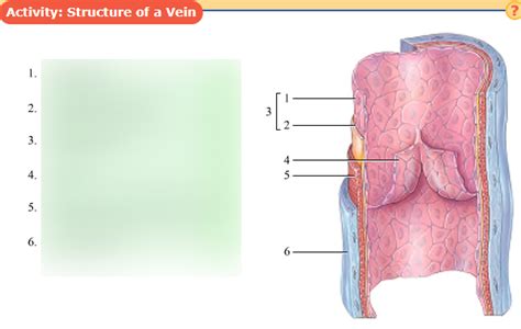 Vein Diagram of 6 Elements に対する画像結果