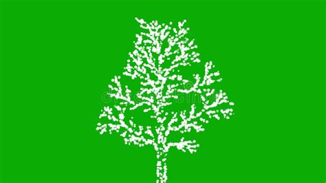 Toradh íomhá ar Multicolor Particles Green Screen Image